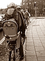 Picture 017
